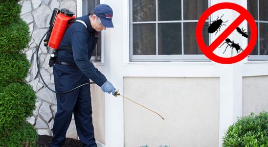 Uğurludağ Böcek İlaçlama böcek ilaçlama ve haşere kontrolü — ilaclama-tr.com